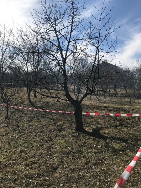 Valcea, Baile Olanesti,